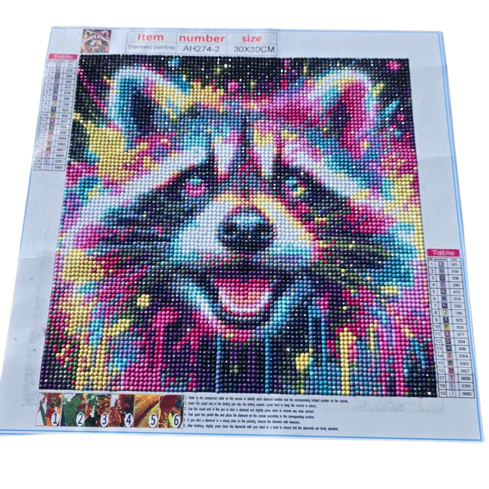 Finished Diamond Painting - Neon Paint Splatter, Racoon