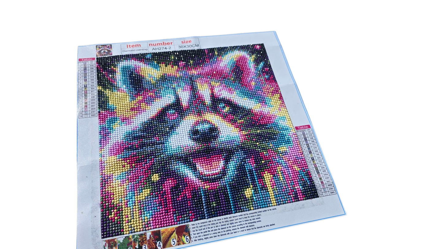 Finished Diamond Painting - Neon Paint Splatter, Racoon