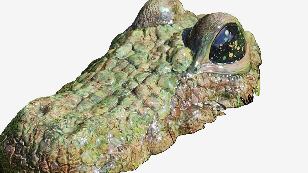 Ceramic Alligator - 3 piece Garden & Patio Décor