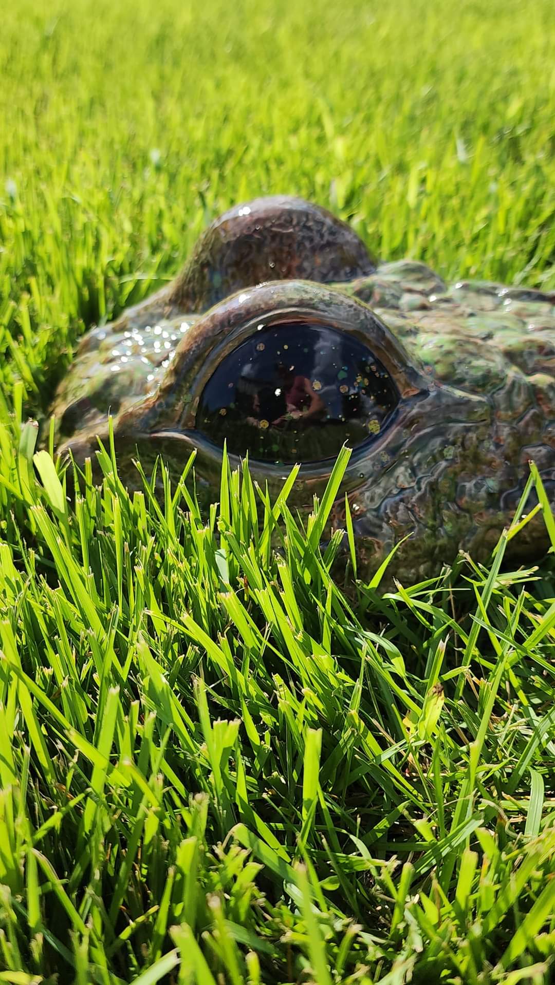 Ceramic Alligator - 3 piece Garden & Patio Décor