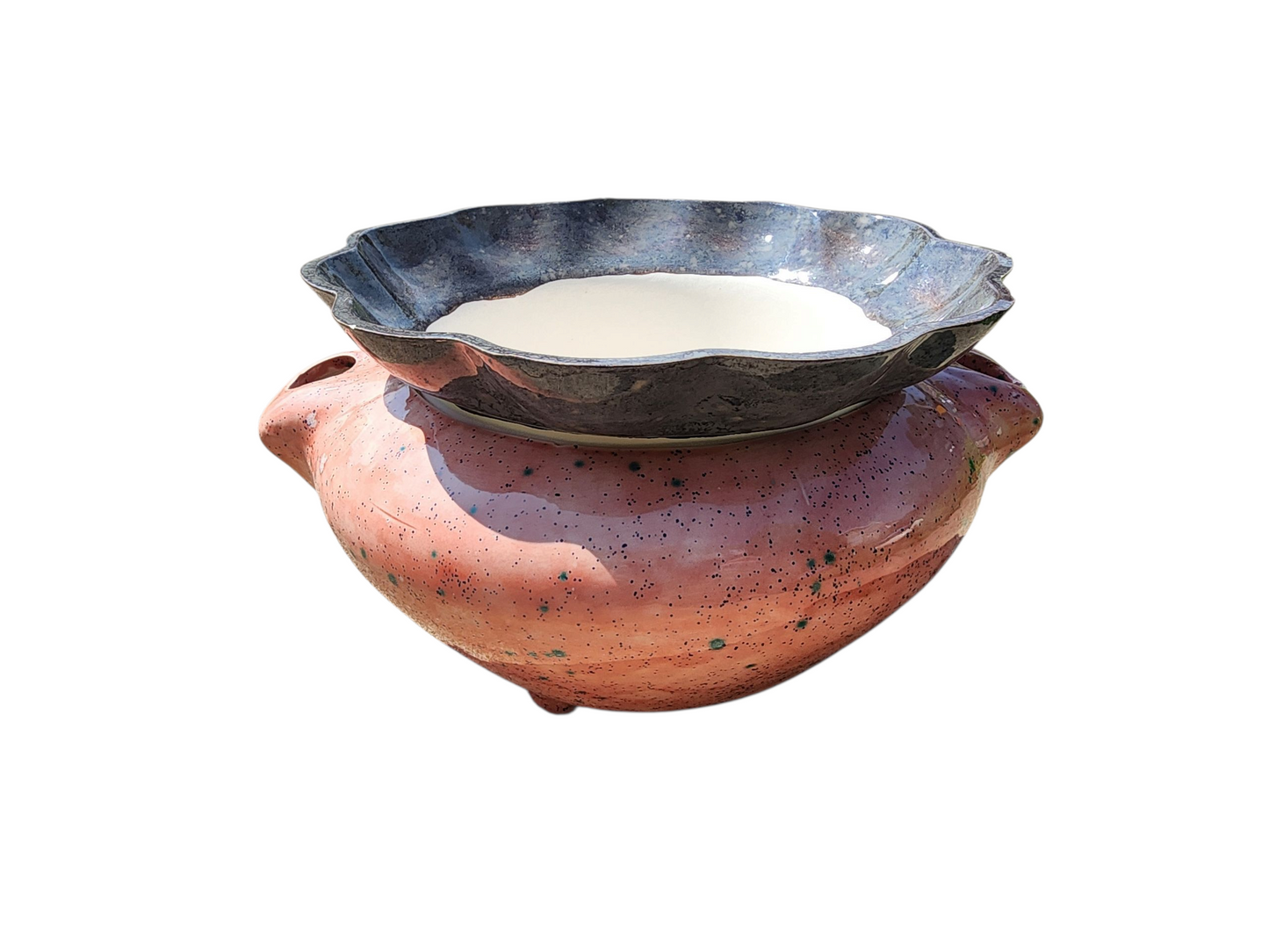 XLarge Ceramic Violet Pot - Assorted Colors