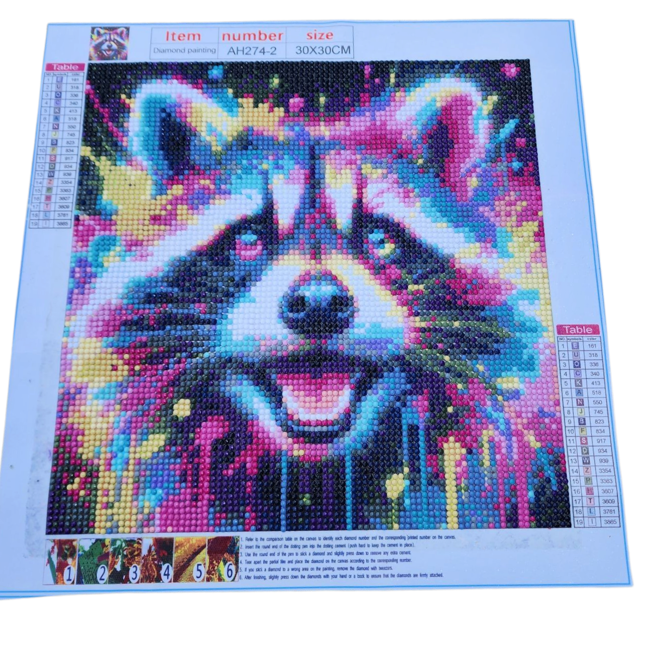 Finished Diamond Painting - Neon Paint Splatter, Racoon