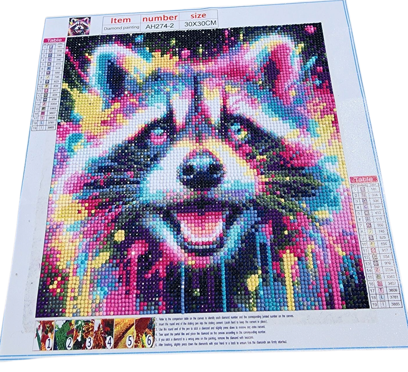 Finished Diamond Painting - Neon Paint Splatter, Racoon