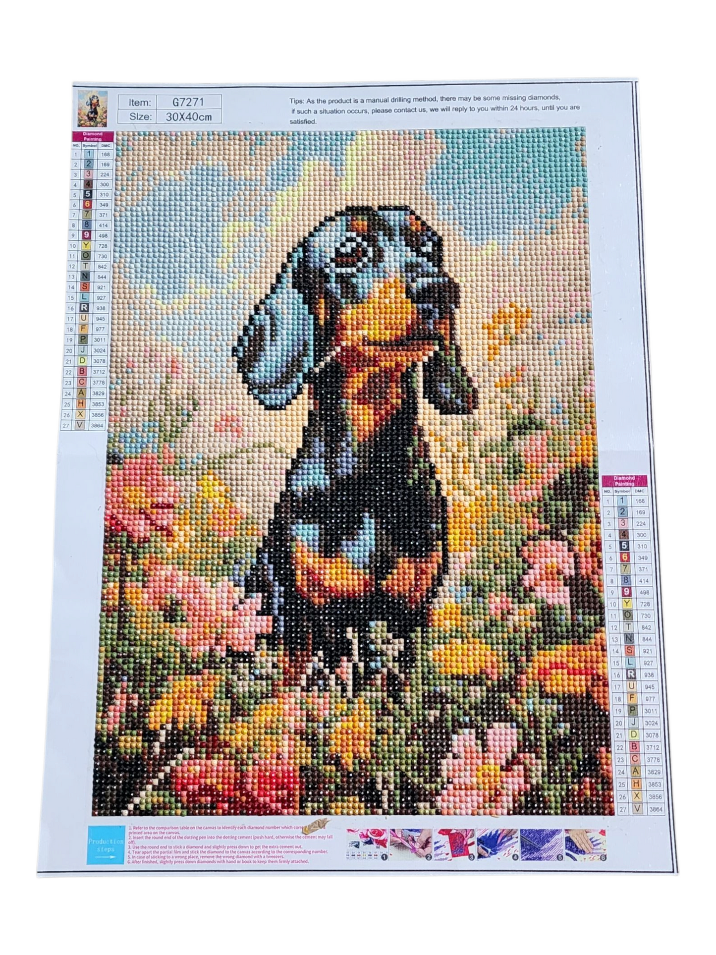 Finished Diamond Painting -Dog, Dachshund in Flower Field