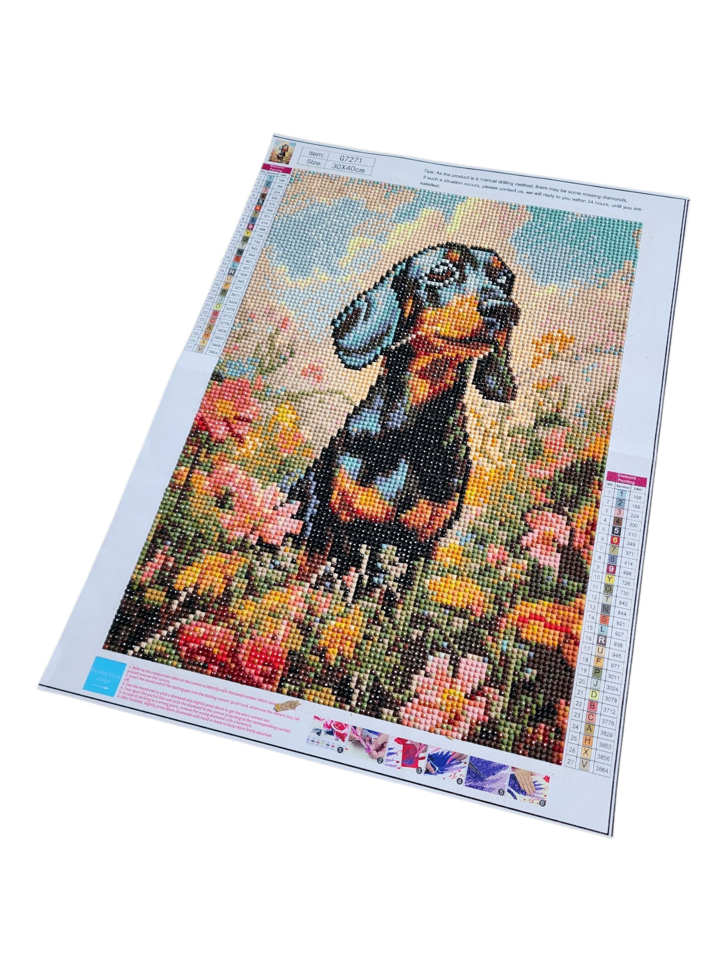 Finished Diamond Painting -Dog, Dachshund in Flower Field