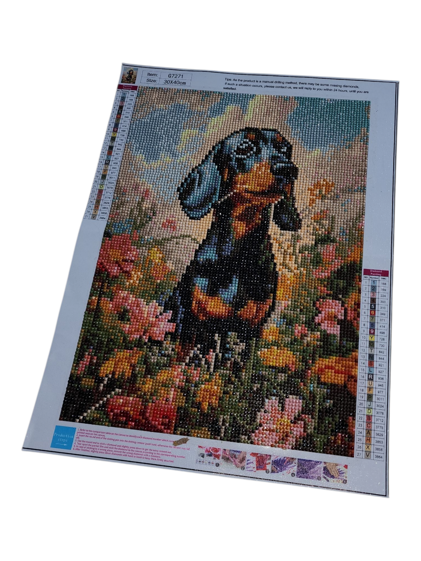 Finished Diamond Painting -Dog, Dachshund in Flower Field