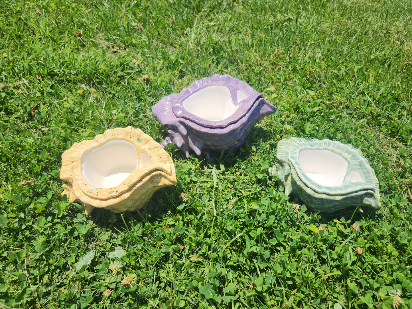 Large Ceramic Shell Violet Pot - Assorted Colors