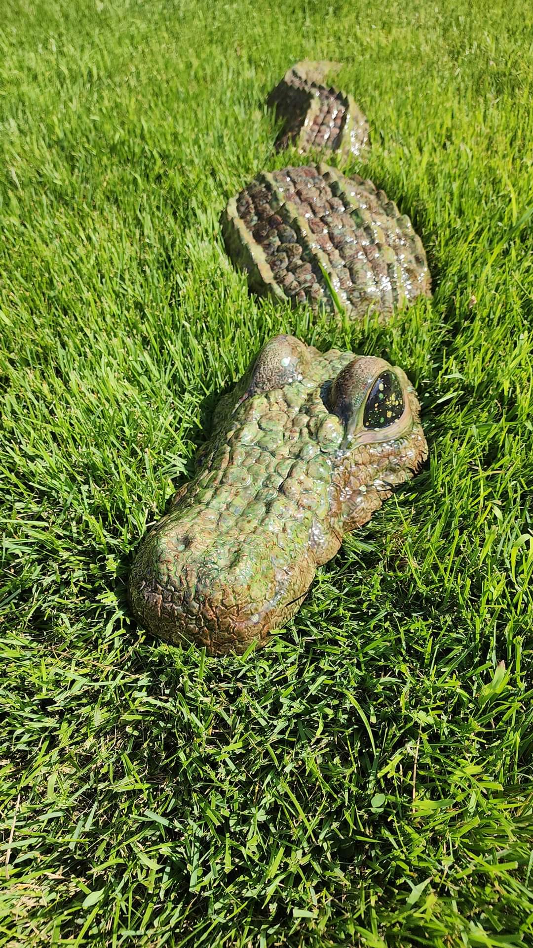 Ceramic Alligator - 3 piece Garden & Patio Décor
