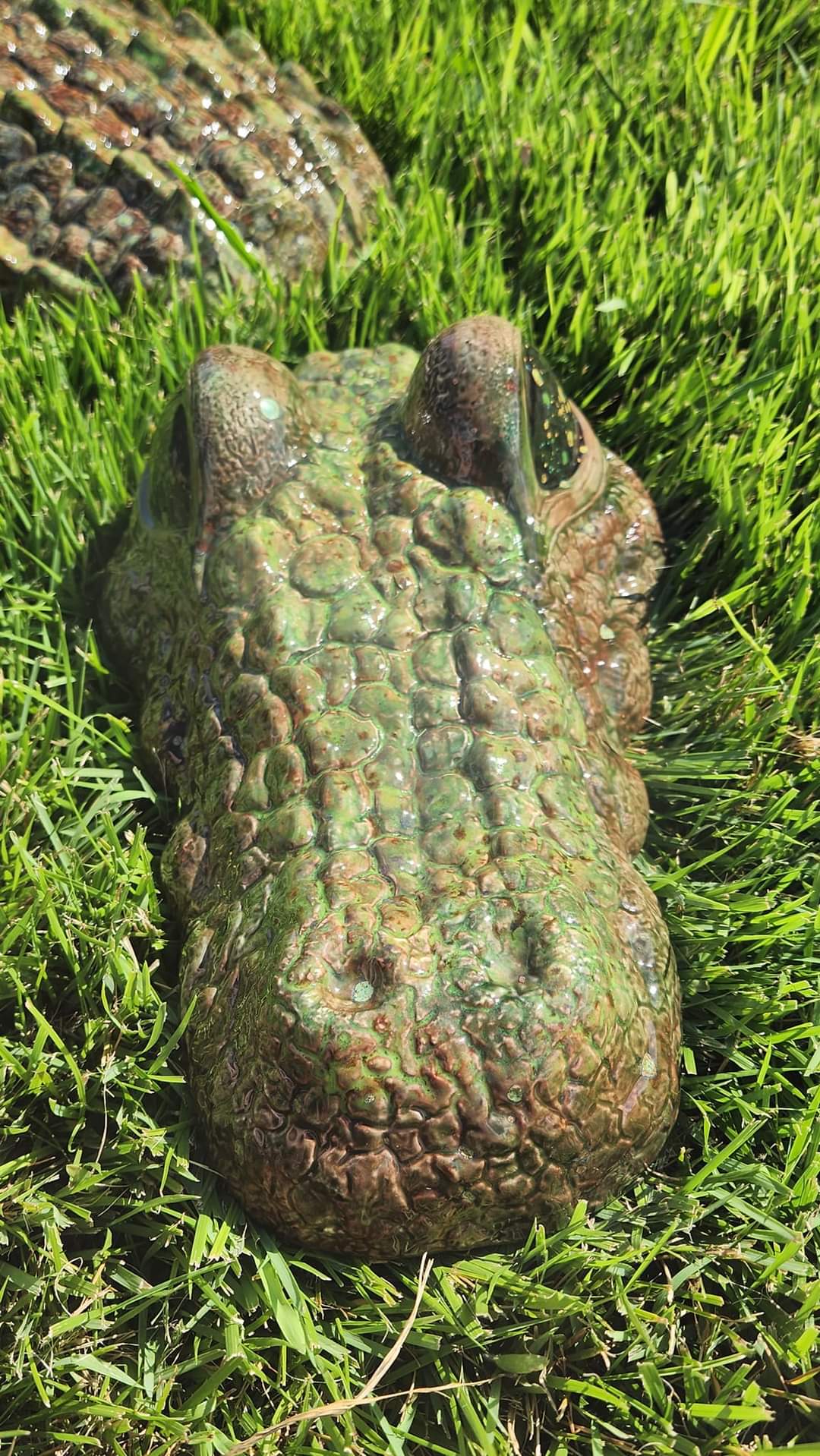 Ceramic Alligator - 3 piece Garden & Patio Décor