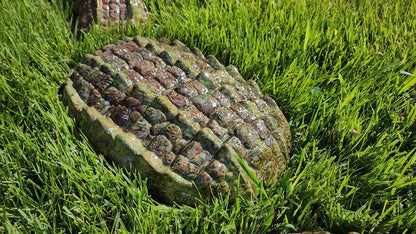 Ceramic Alligator - 3 piece Garden & Patio Décor