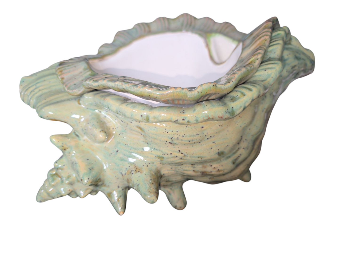 Large Ceramic Shell Violet Pot - Assorted Colors