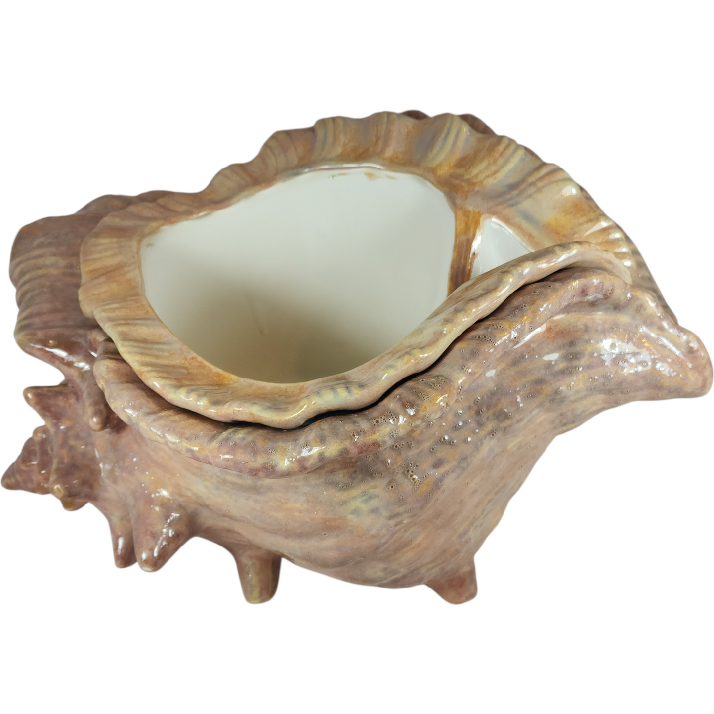 Large Ceramic Shell Violet Pot - Assorted Colors