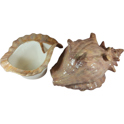 Large Ceramic Shell Violet Pot - Assorted Colors