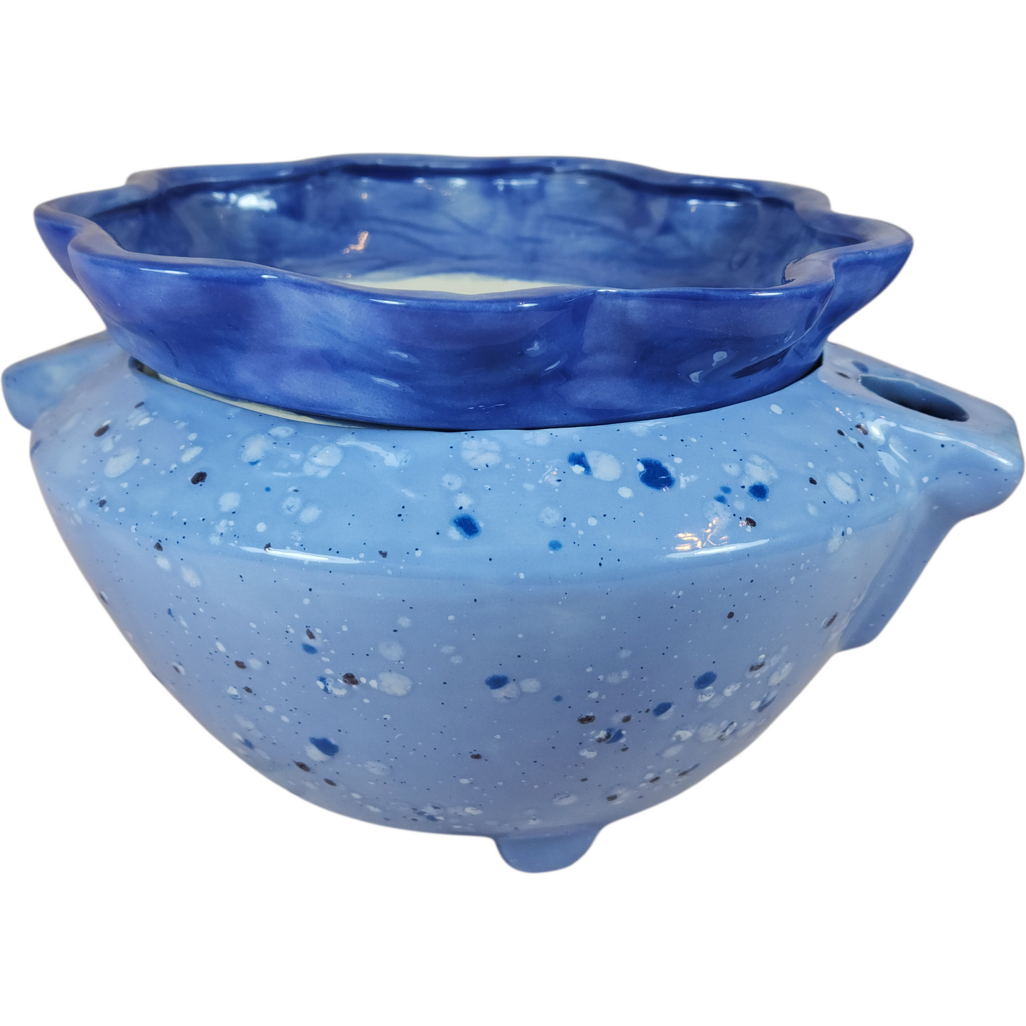Large Ceramic Violet Pot - Assorted Colors
