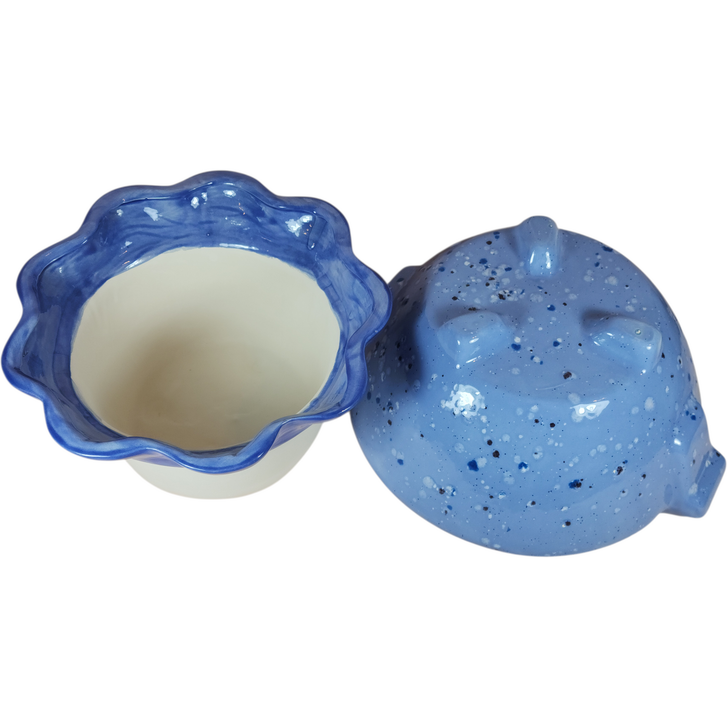 Large Ceramic Violet Pot - Assorted Colors