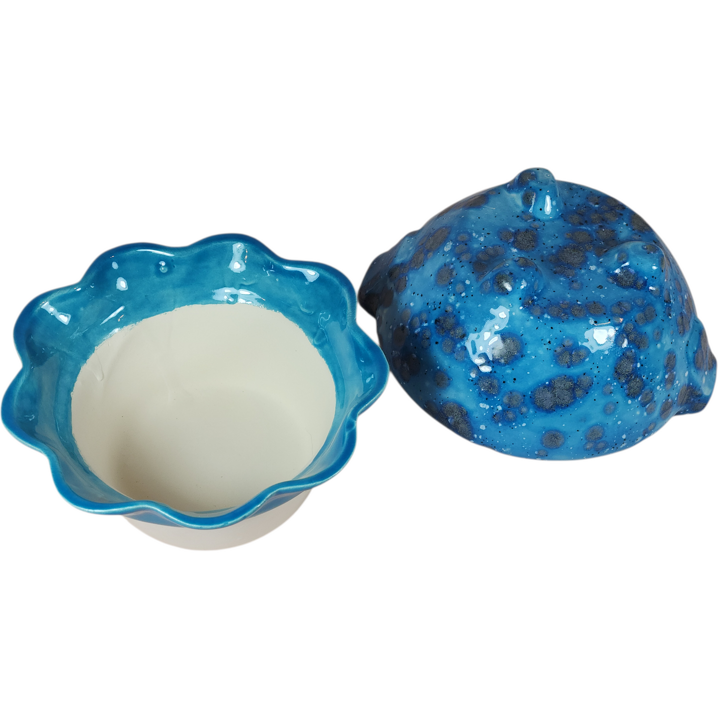 Medium Ceramic Violet Pot - Assorted Colors