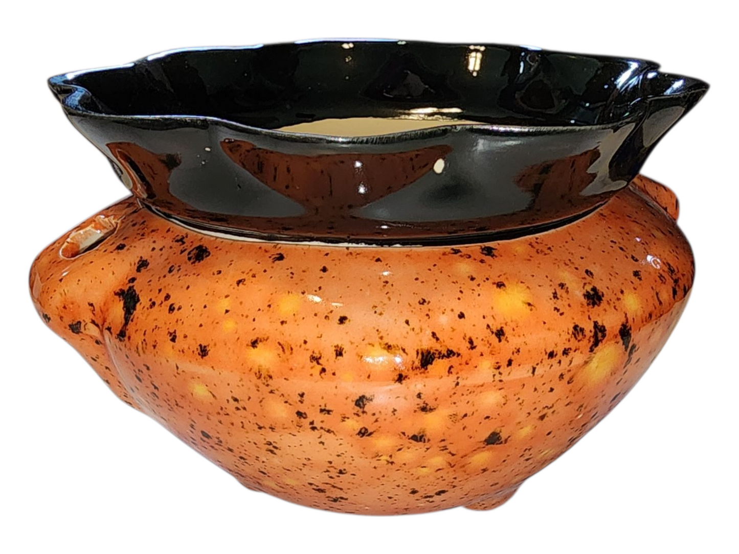 Medium Ceramic Violet Pot - Assorted Colors