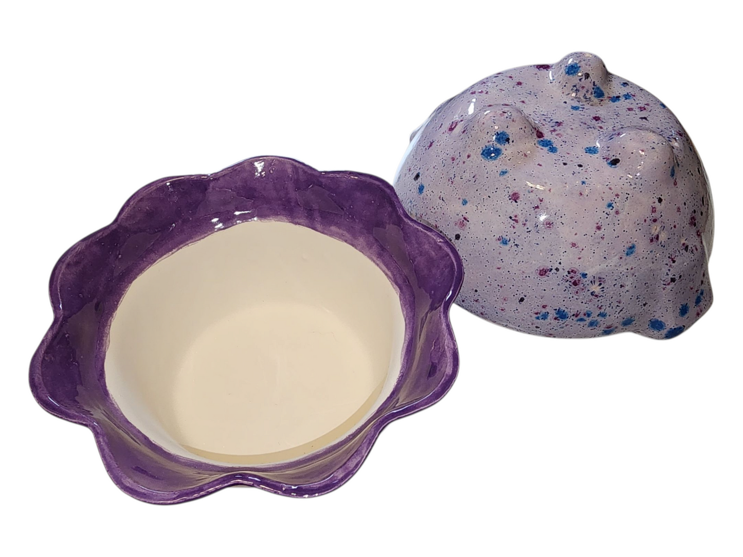 Medium Ceramic Violet Pot - Assorted Colors