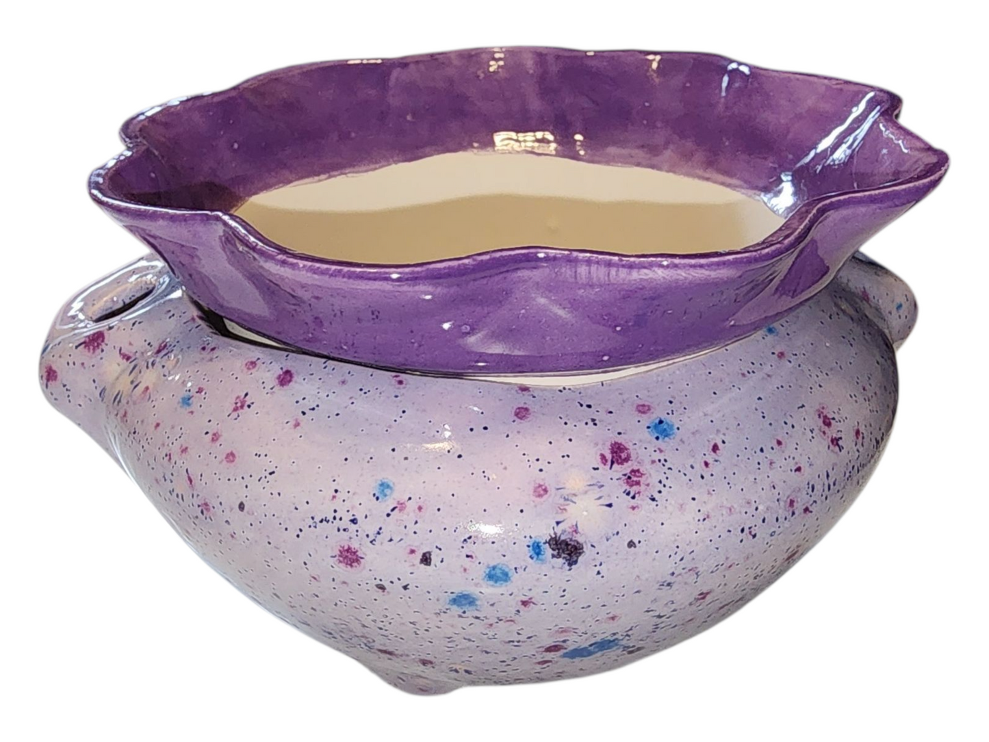 Medium Ceramic Violet Pot - Assorted Colors