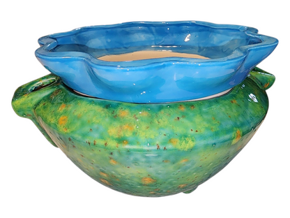 Large Ceramic Violet Pot - Assorted Colors