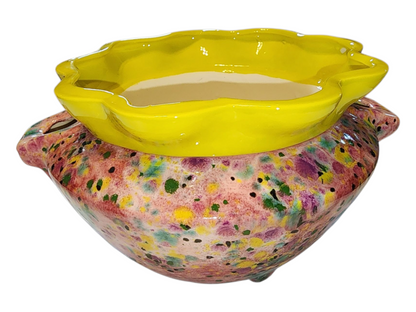 Large Ceramic Violet Pot - Assorted Colors