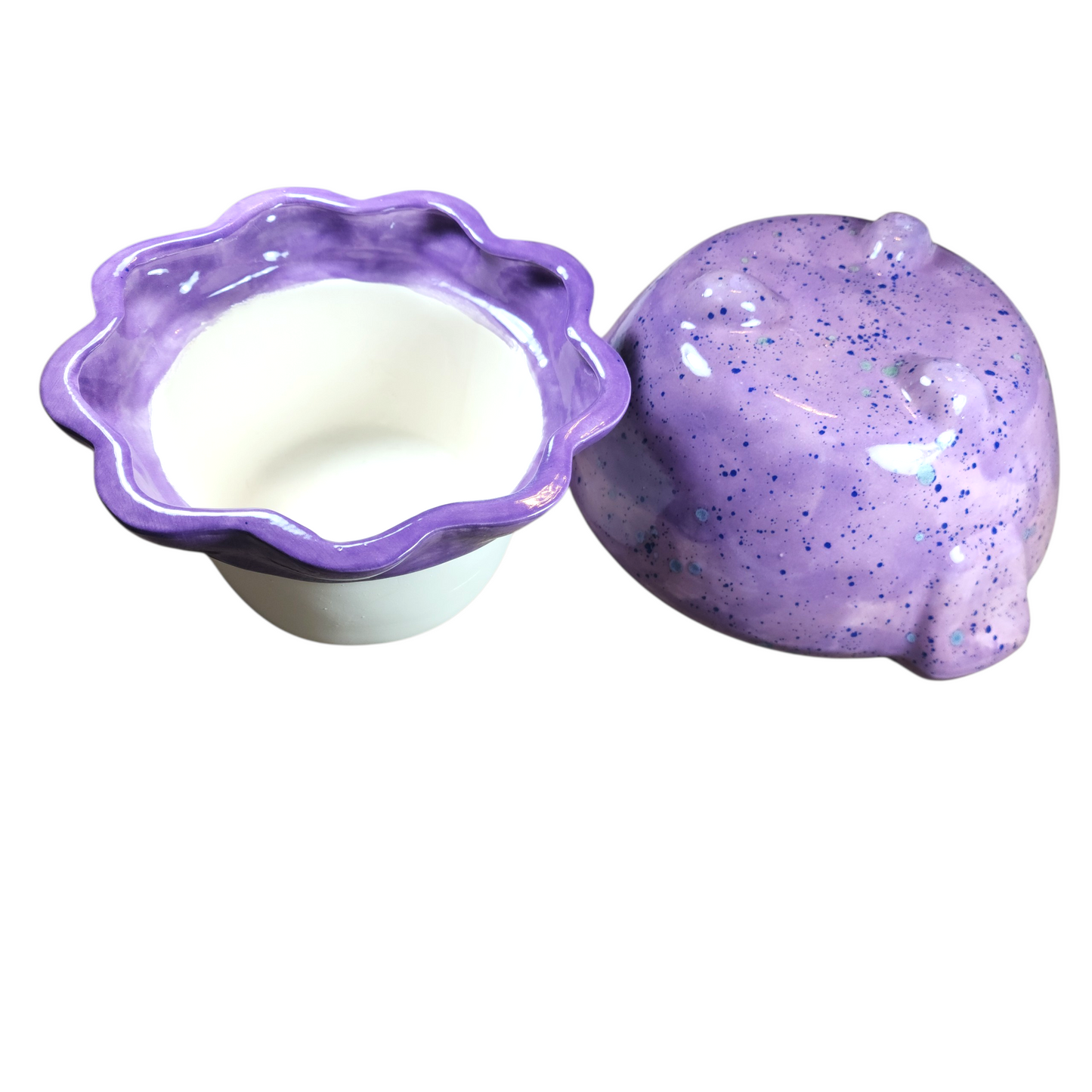 Large Ceramic Violet Pot - Assorted Colors