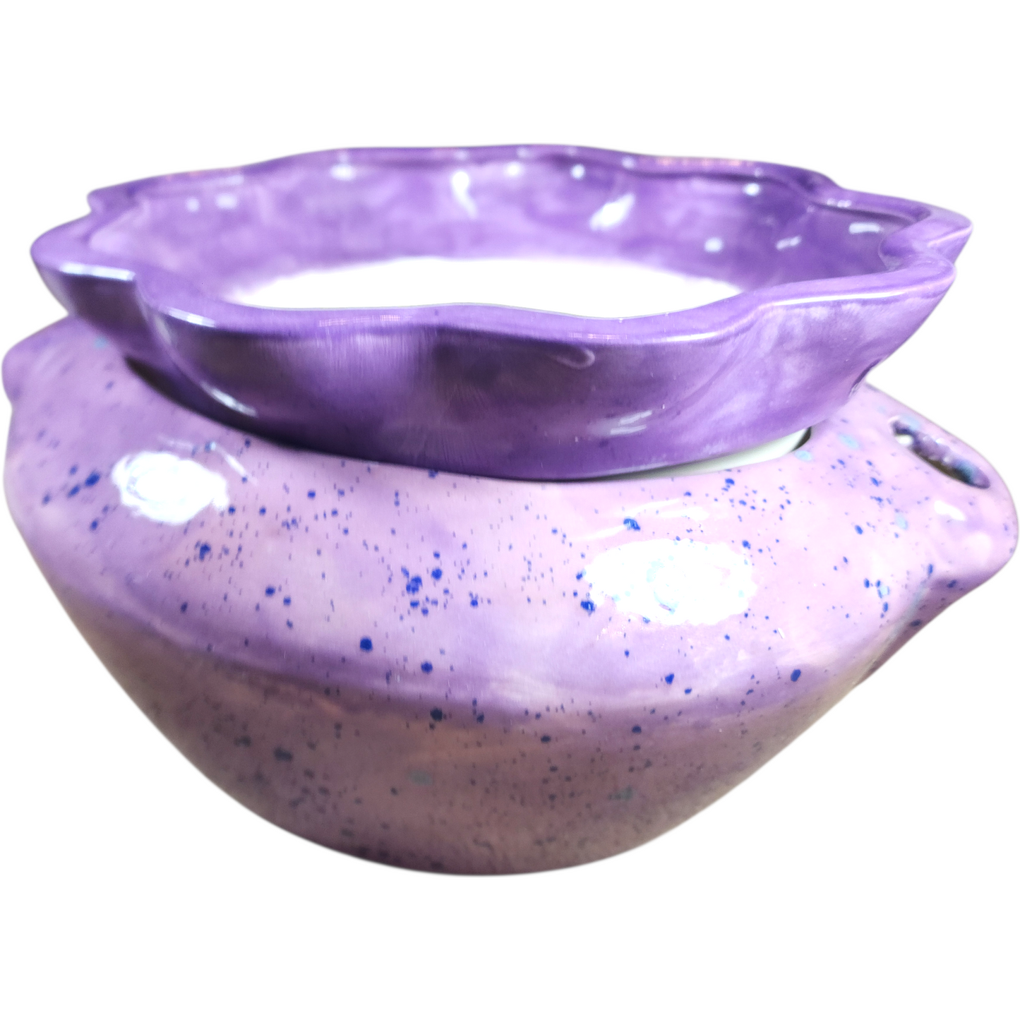 Large Ceramic Violet Pot - Assorted Colors