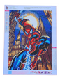 Finished Diamond Painting - Disney's Marvel Spiderman