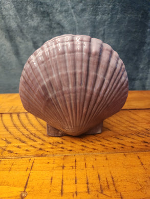 Ceramic Decoration - Napkin Holder, Scallop Seashell