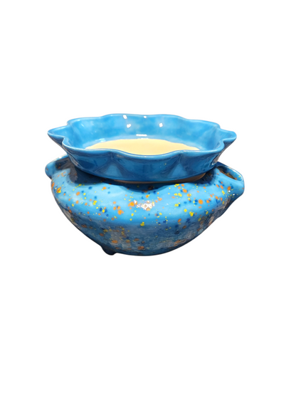 Medium Ceramic Violet Pot - Assorted Colors