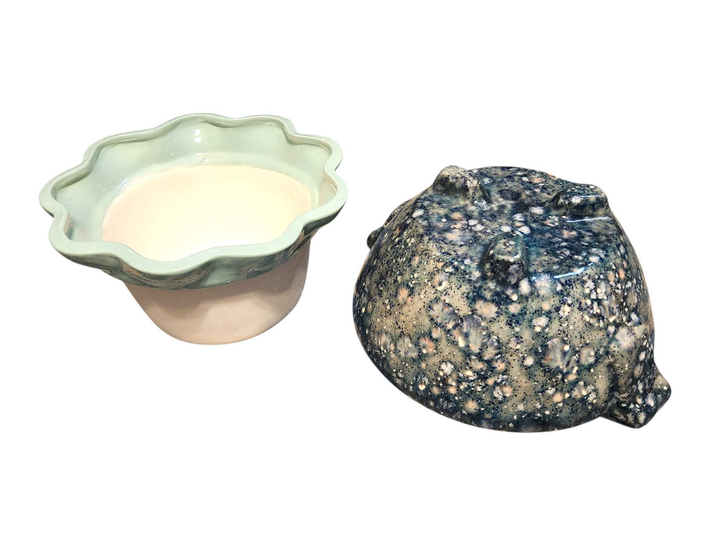 Large Ceramic Violet Pot - Assorted Colors