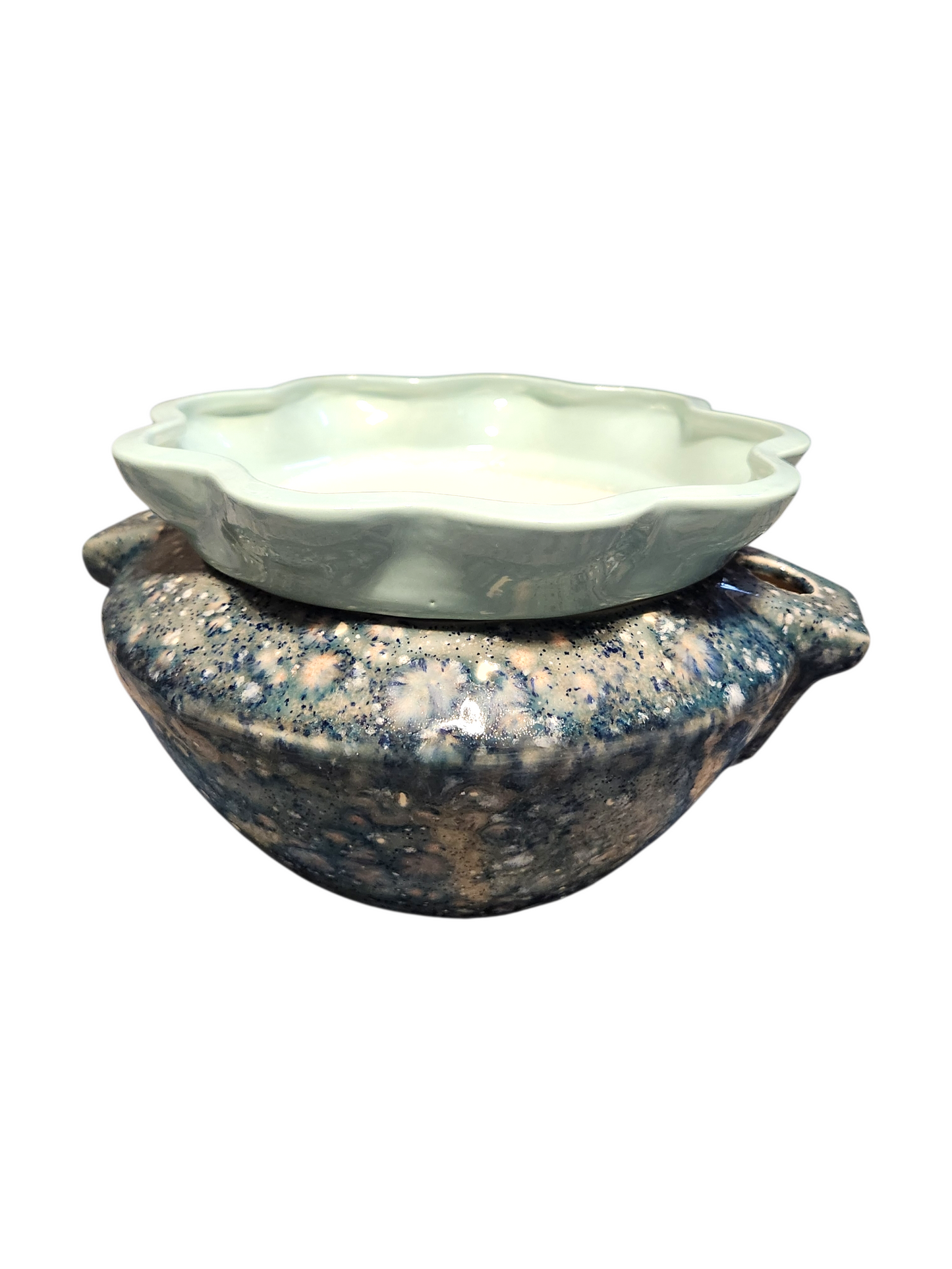 Large Ceramic Violet Pot - Assorted Colors