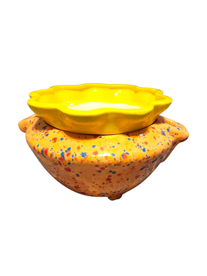 Large Ceramic Violet Pot - Assorted Colors