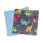 Baby Set - Colorful Dinosaurs Theme